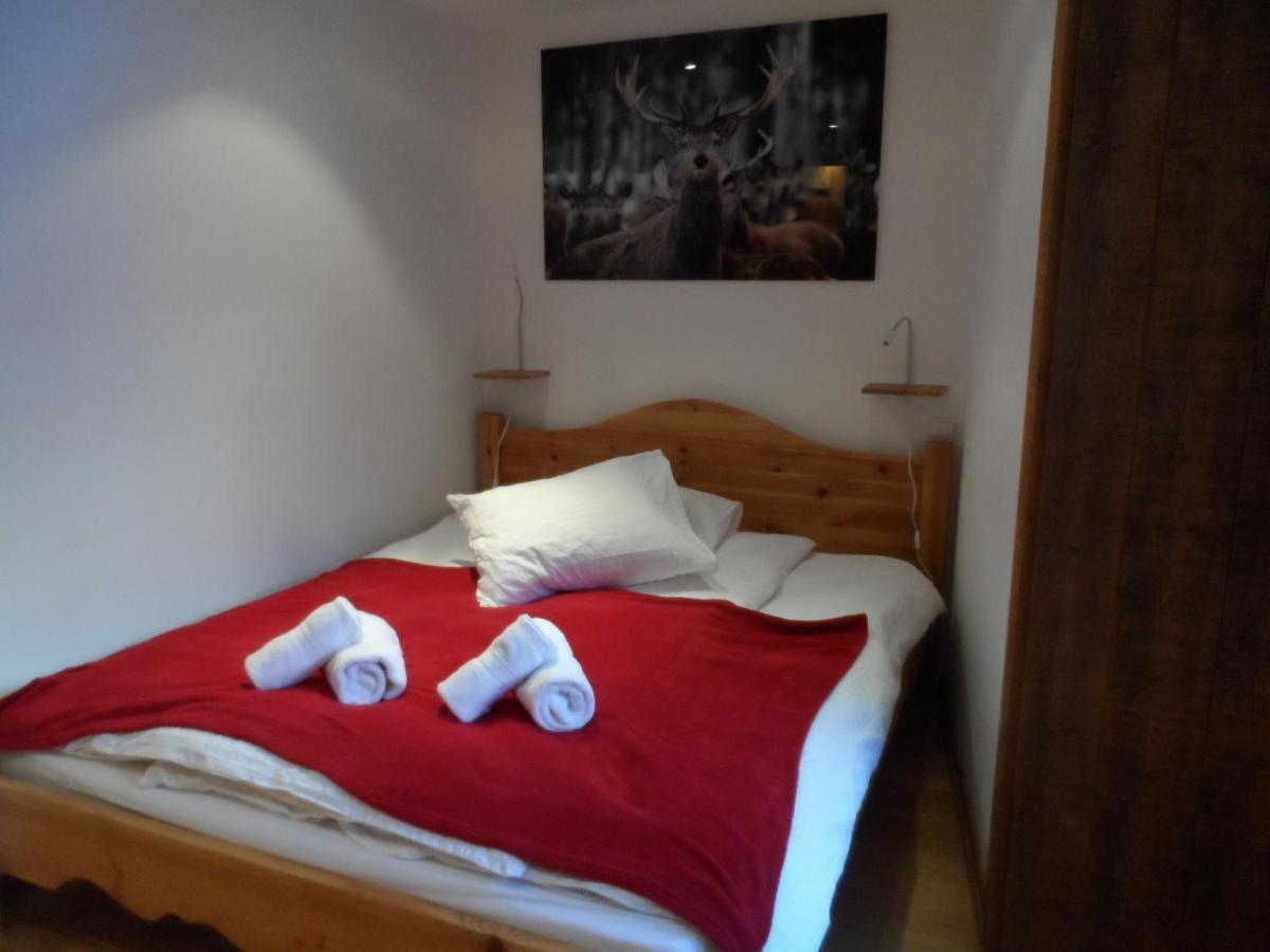 Prachtig Familie Appartement Voor 6 Personen In Het Hart Van Argentiere, Chamonix Mont-Blanc ภายนอก รูปภาพ